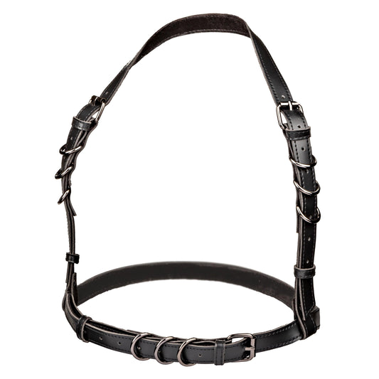 Euphoria Collection Plus Size Halter Buckle Harness - Black - My Sex Toy Hub