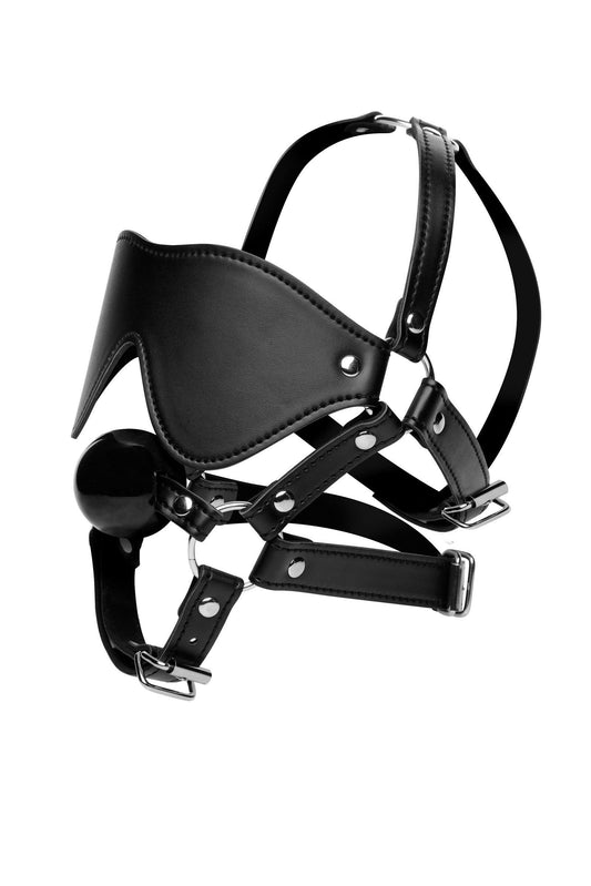 Blindfold Harness and Ball Gag - My Sex Toy Hub