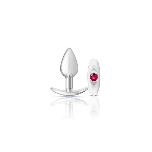 Cheeky Charms-Silver Metal Butt Plug Kit -Clear/bright Pink - My Sex Toy Hub