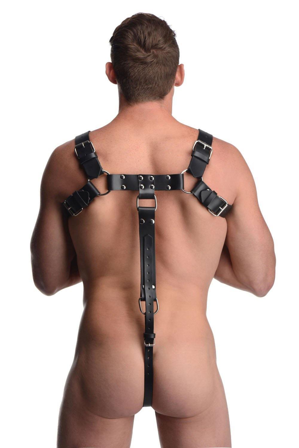 English Bull Dog Harness With Cock Strap - My Sex Toy Hub