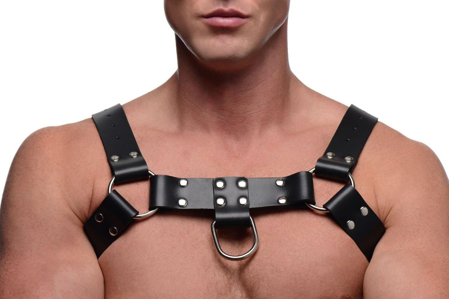 English Bull Dog Harness With Cock Strap - My Sex Toy Hub