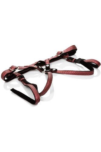 Her Royal Harness the Regal Duchess - Red - My Sex Toy Hub