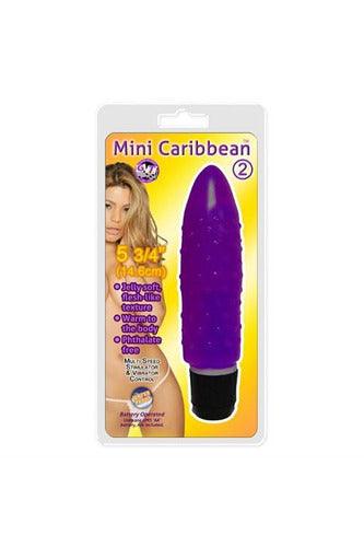 Mini Caribbean - 2 Bumpy - Purple - My Sex Toy Hub