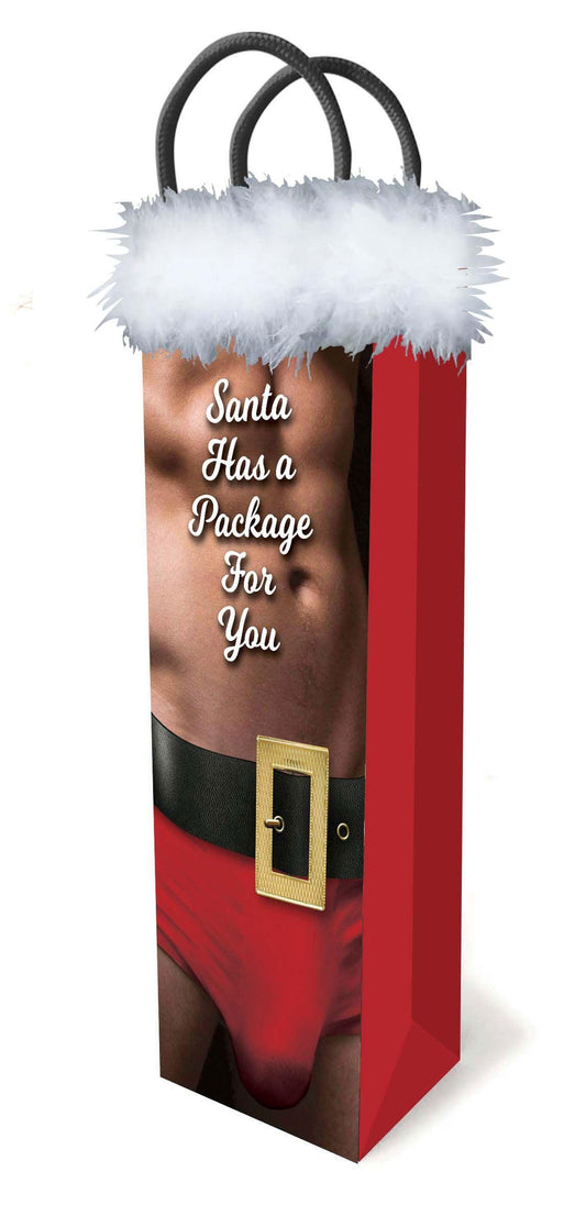 Santa Has a Big Package for You - My Sex Toy Hub