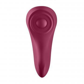 Sexy Secret - Panty Vibrator - My Sex Toy Hub