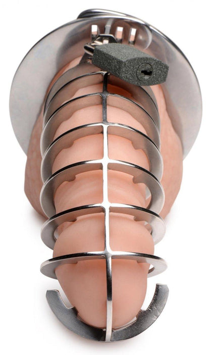 Sinister Stainless Steel Spiked Chastity Cage - My Sex Toy Hub