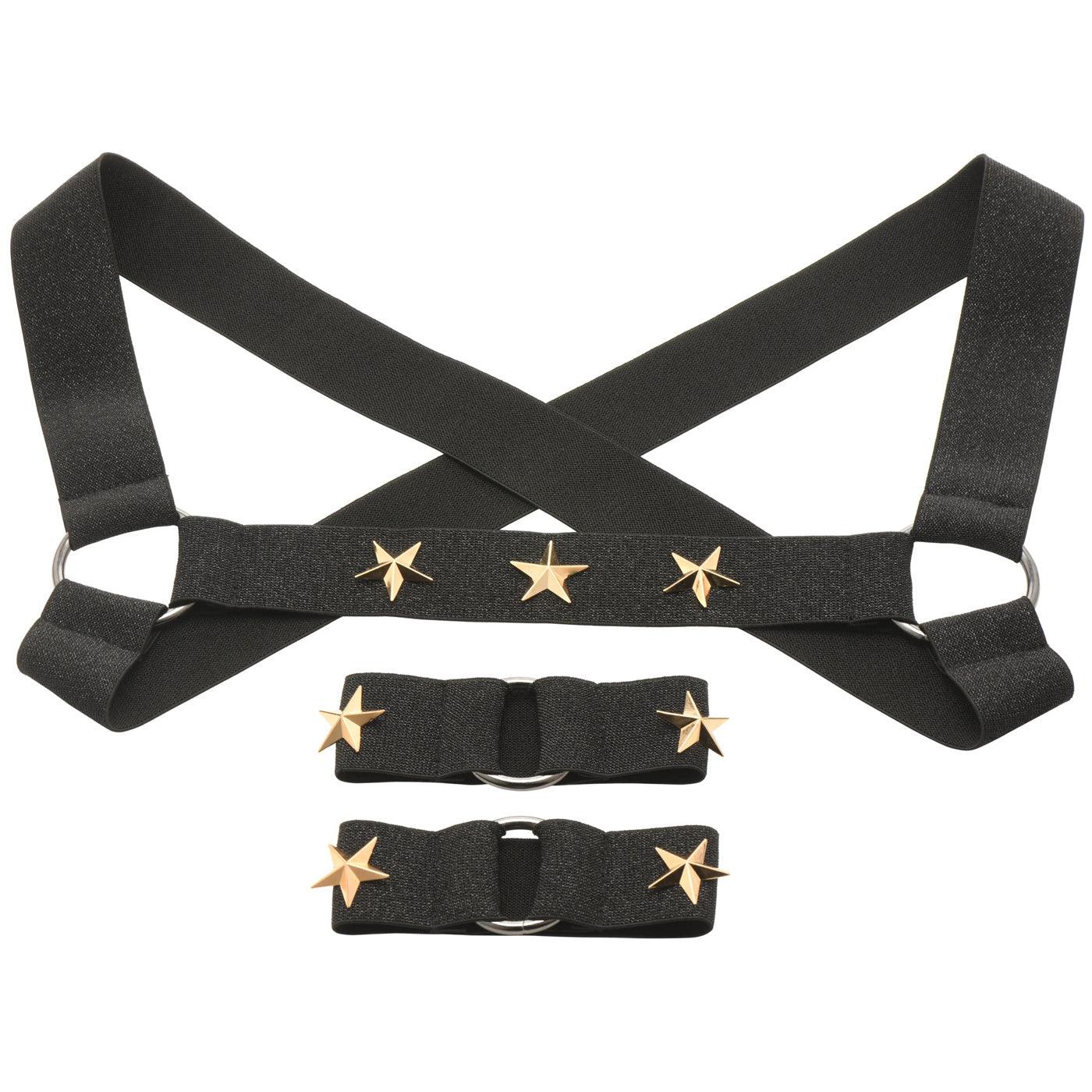 Star Boy Male Chest Harness With Arm Bands - Small/medium - Black - My Sex Toy Hub
